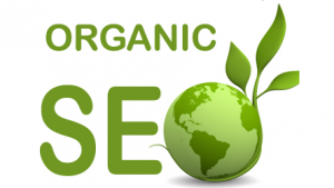 Organic SEO