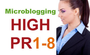 Top 20 High PR Microblogging Sites List of 2014