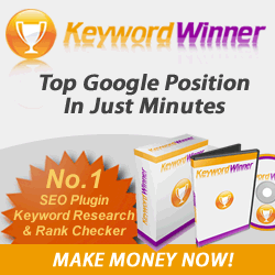keyword winner review