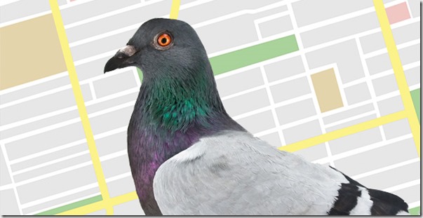 google pigeon update algo
