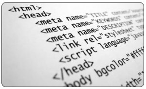 meta-tags