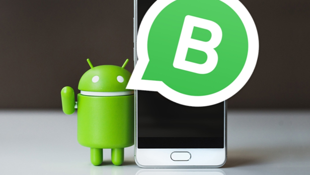 whatsapp for business